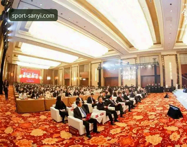 三亿体育手机版官网入口哪个好？2024年用户体验深度分析与创新视角